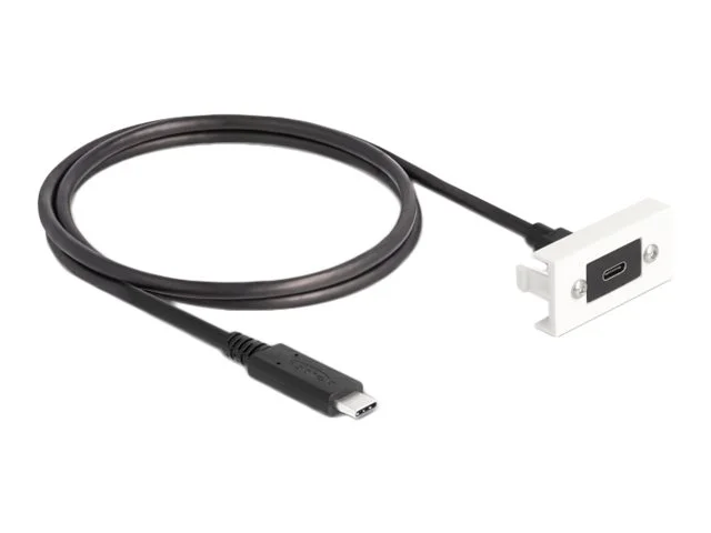 DELOCK Easy 45 Modul USB 3.2 Gen 2 USB