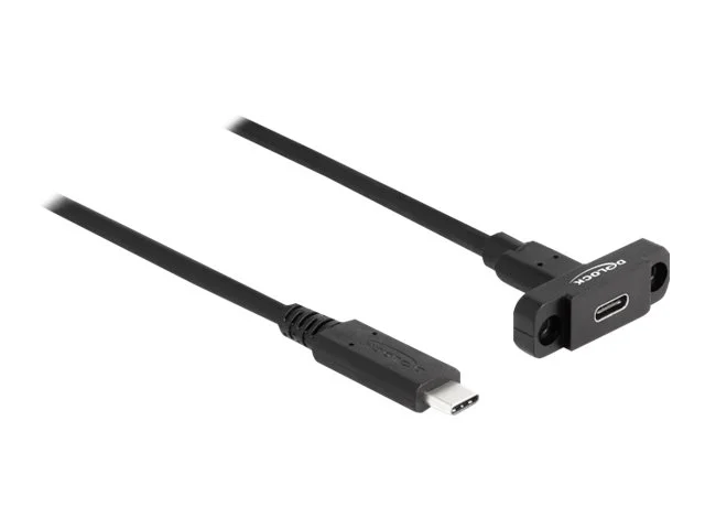 DELOCK SuperSpeed USB 10 Gbps Kabel 1m