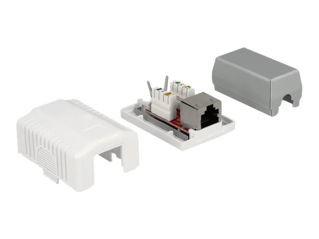 DELOCK Anschlussdose 1 Port Cat.6A LSA
