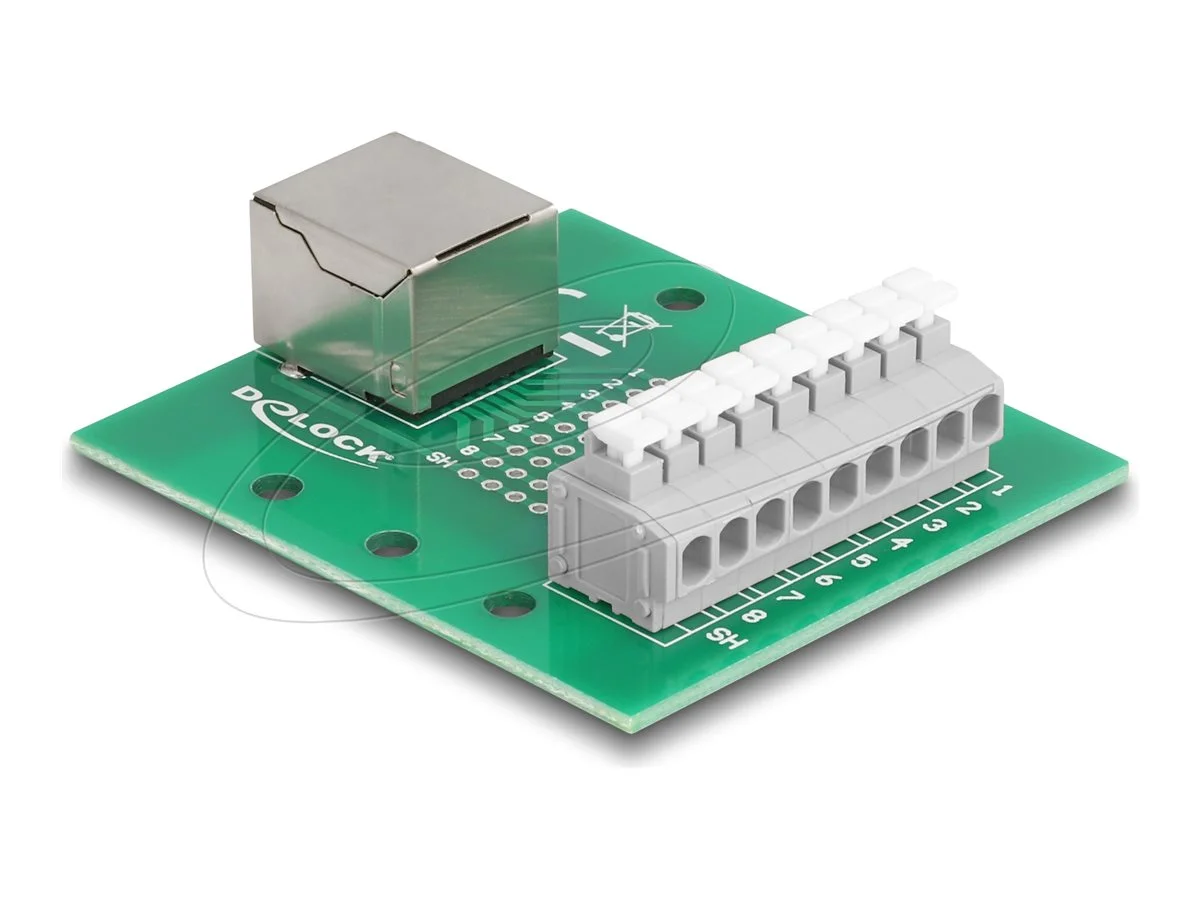 DELOCK RJ45 Buchse zu Terminalblock