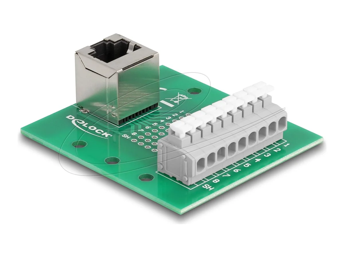 DELOCK RJ45 Buchse zu Terminalblock gew.