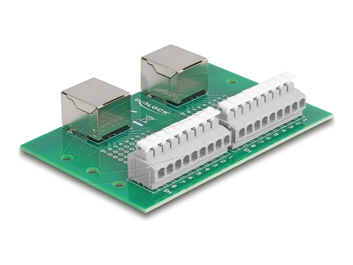 DELOCK RJ45 2x Buchse zu 2xTerminalblock