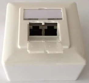 Dosen TP, AP, 2-fach, CAT6A, 500Mhz, Reinweiss, waagrechter Kabeleingang, Synergy 21,