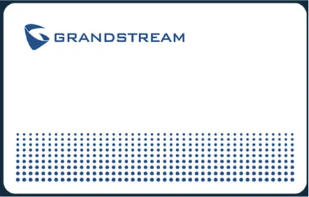 Grandstream GDS TFE RFID Card 1 Stück