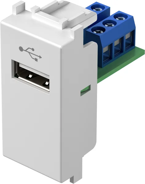 TEM Serie Modul Steckdosen SOCKET USBTIP A 1M PW