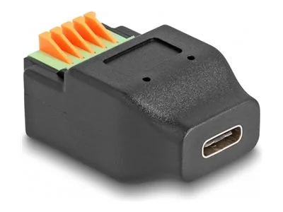 DELOCK USB Type-C2.0 Buchse zu Terminalb