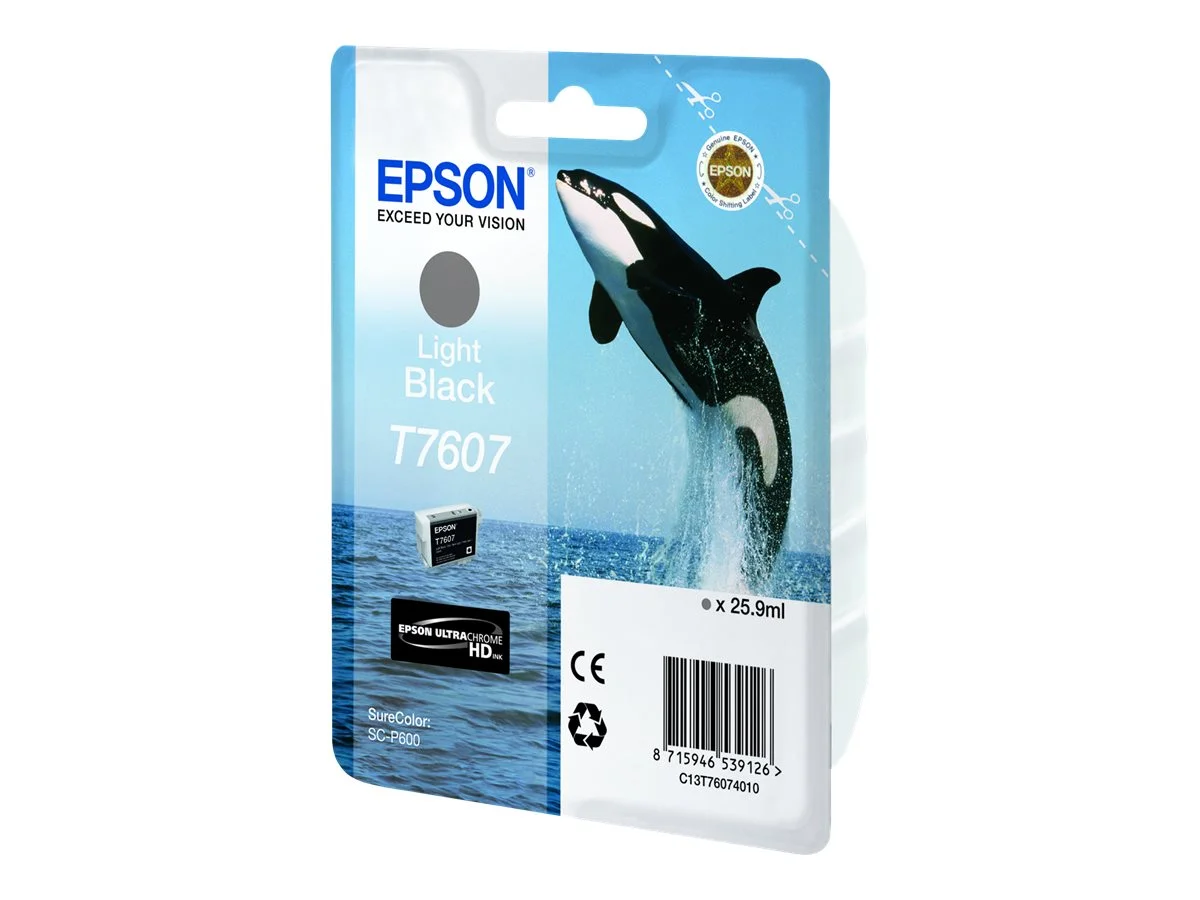 EPSON 5LB T7607 ink cartridge light