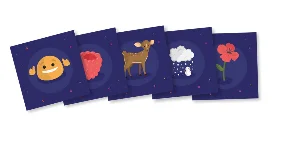 Photon Education MINT Photon Education MINT Lernkarten Stufe A