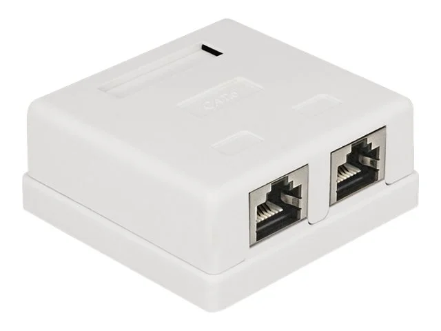 DELOCK Netzwerk Dose 2xRJ45 LSA Cat.6