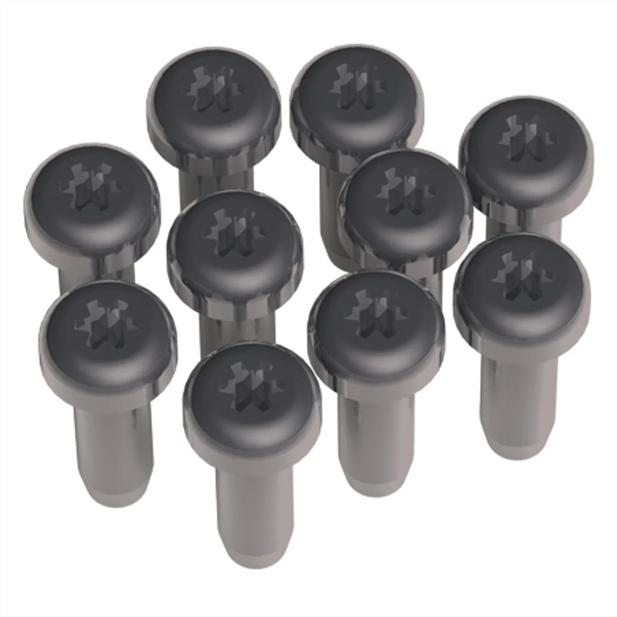 BACHMANN Torx T6 Schrauben für Custom Module, 10 Stk.