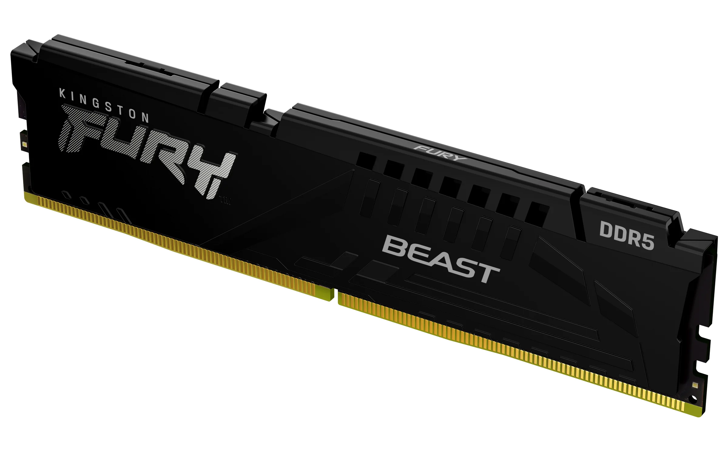 Kingston Technology FURY Beast 16 GB 6000 MT/s DDR5 CL30 DIMM Black EXPO