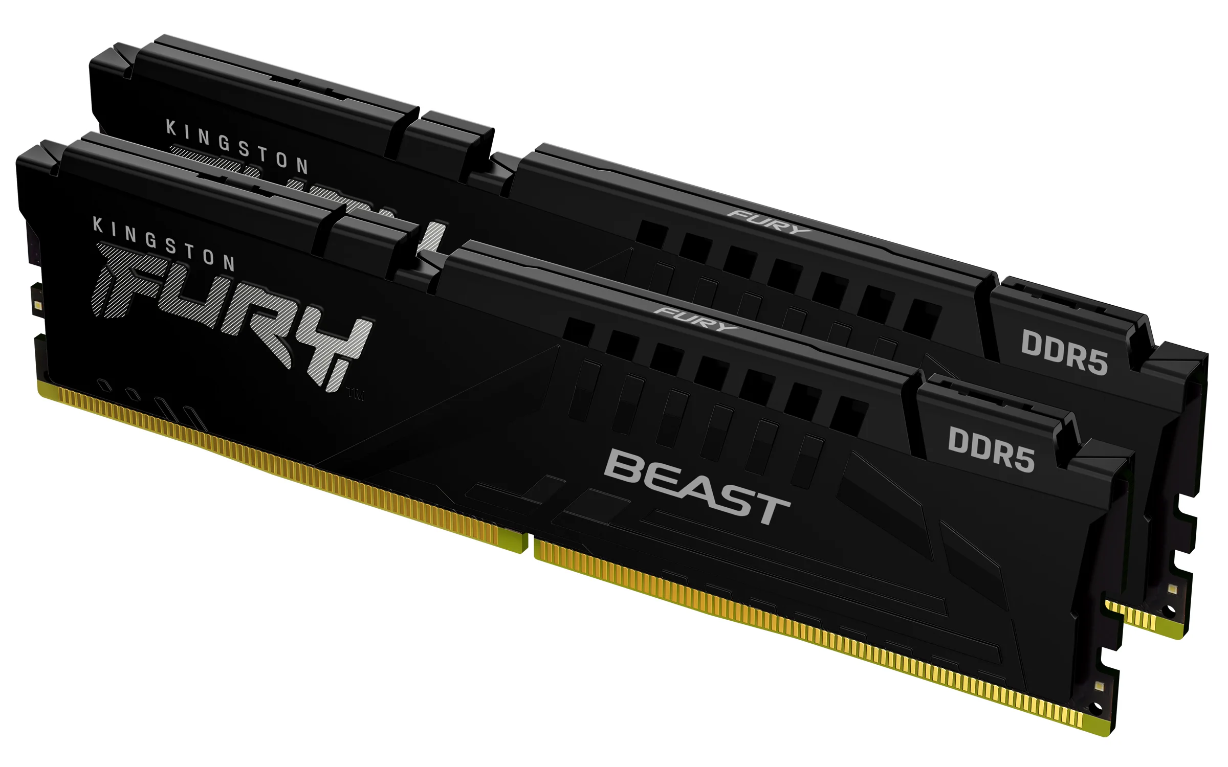 Kingston Technology FURY Beast 16GB 5600MT/s DDR5 CL36 DIMM (2er-Kit) Black EXPO
