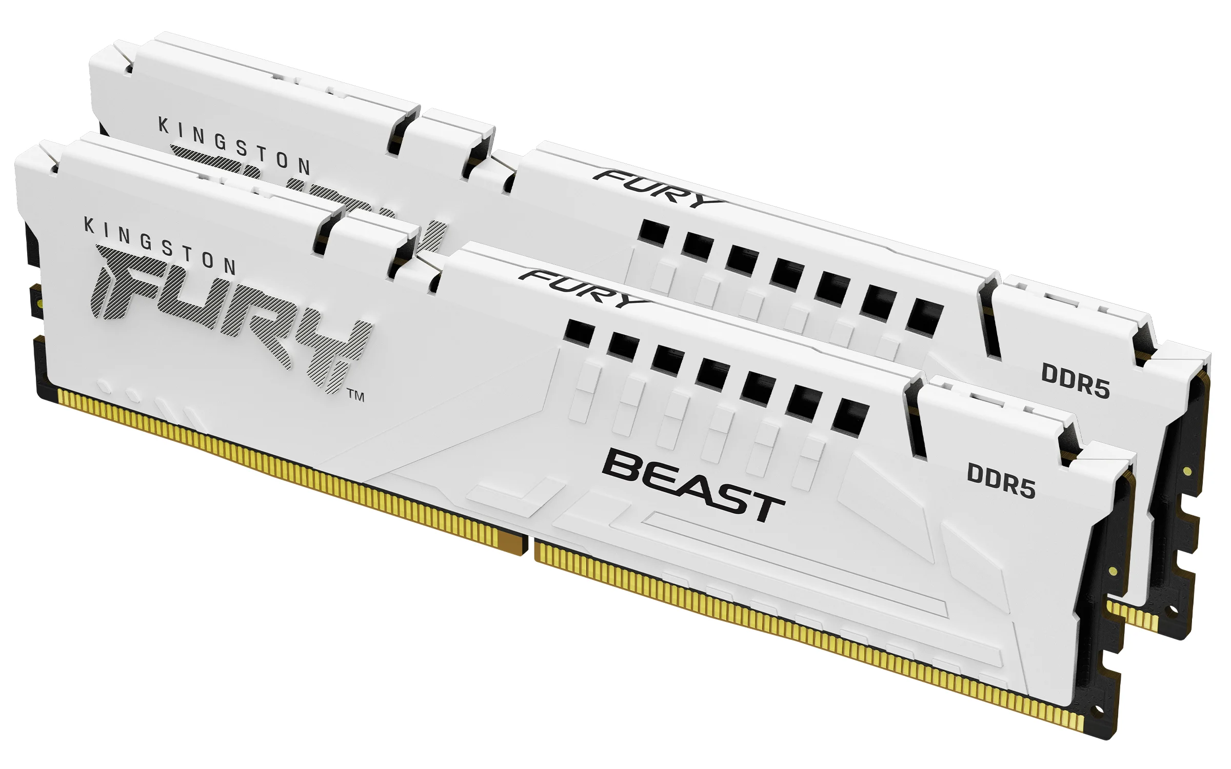 Kingston Technology FURY Beast 32GB 6000MT/s DDR5 CL36 DIMM (Kit of 2) White EXPO