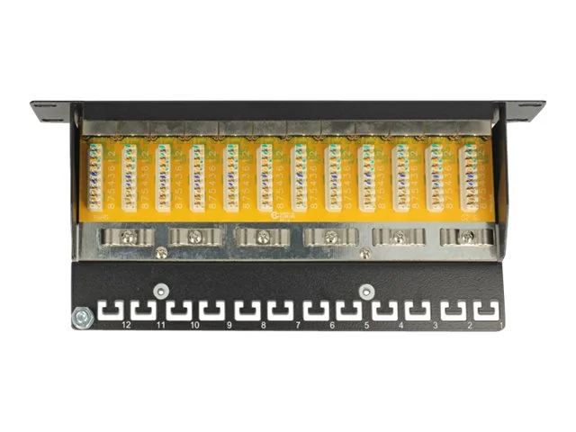 DELOCK 10Z Patchpanel 12 Port Cat.6 grau