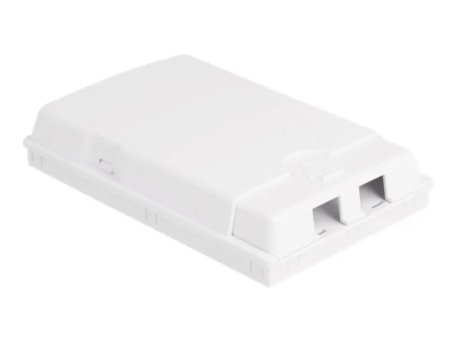 DELOCK LWL Anschlussdose zur Wandmontage