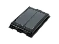 PANASONIC Ersatzbatterie fuer FZ-N1/F1