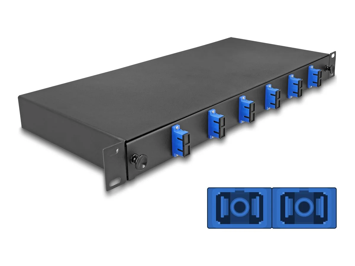 DELOCK 48,26cm LWL Spleissb 6xSC Duplex