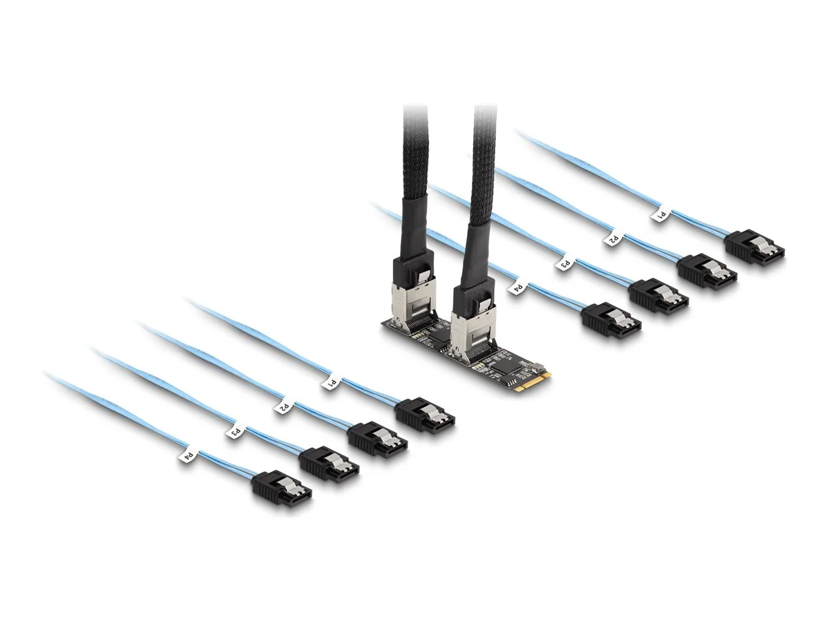 DELOCK Konverter M.2 2280 Key B+M zuSATA