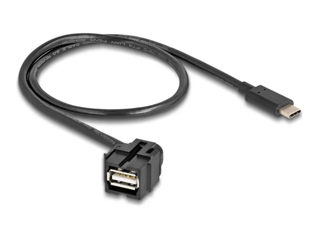 DELOCK Keystone Modul USB 2.0A zu Type-C