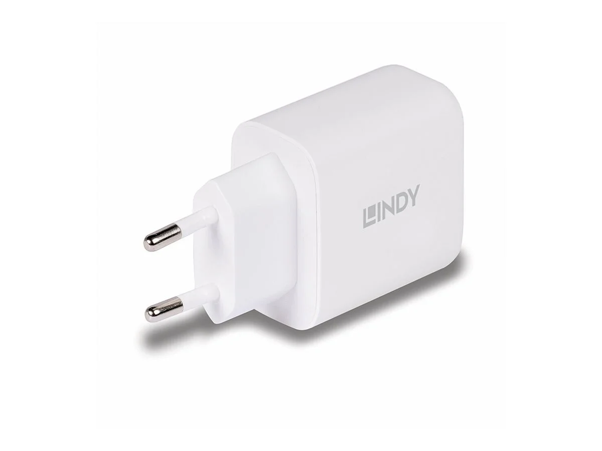 LINDY 65W USB Type C GaN Charger mit EU