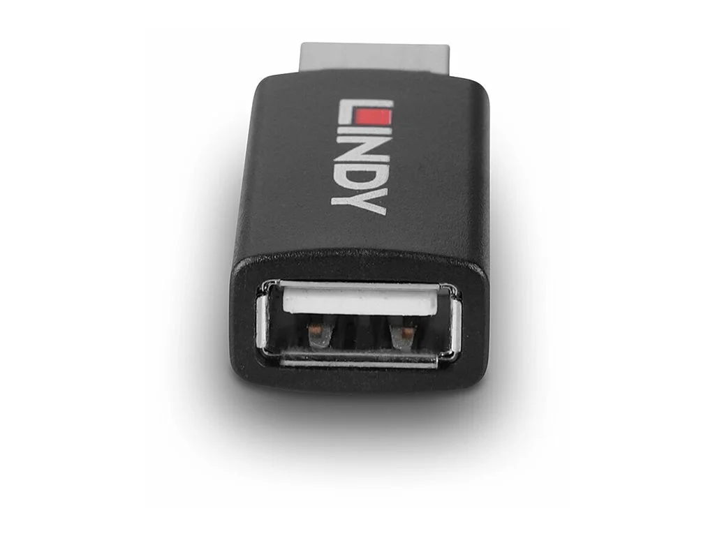 LINDY USB 2.0 Type A to A Data Blocker