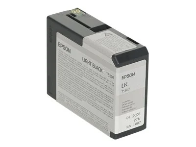 EPSON 5LB T5807 ink cartridge photo
