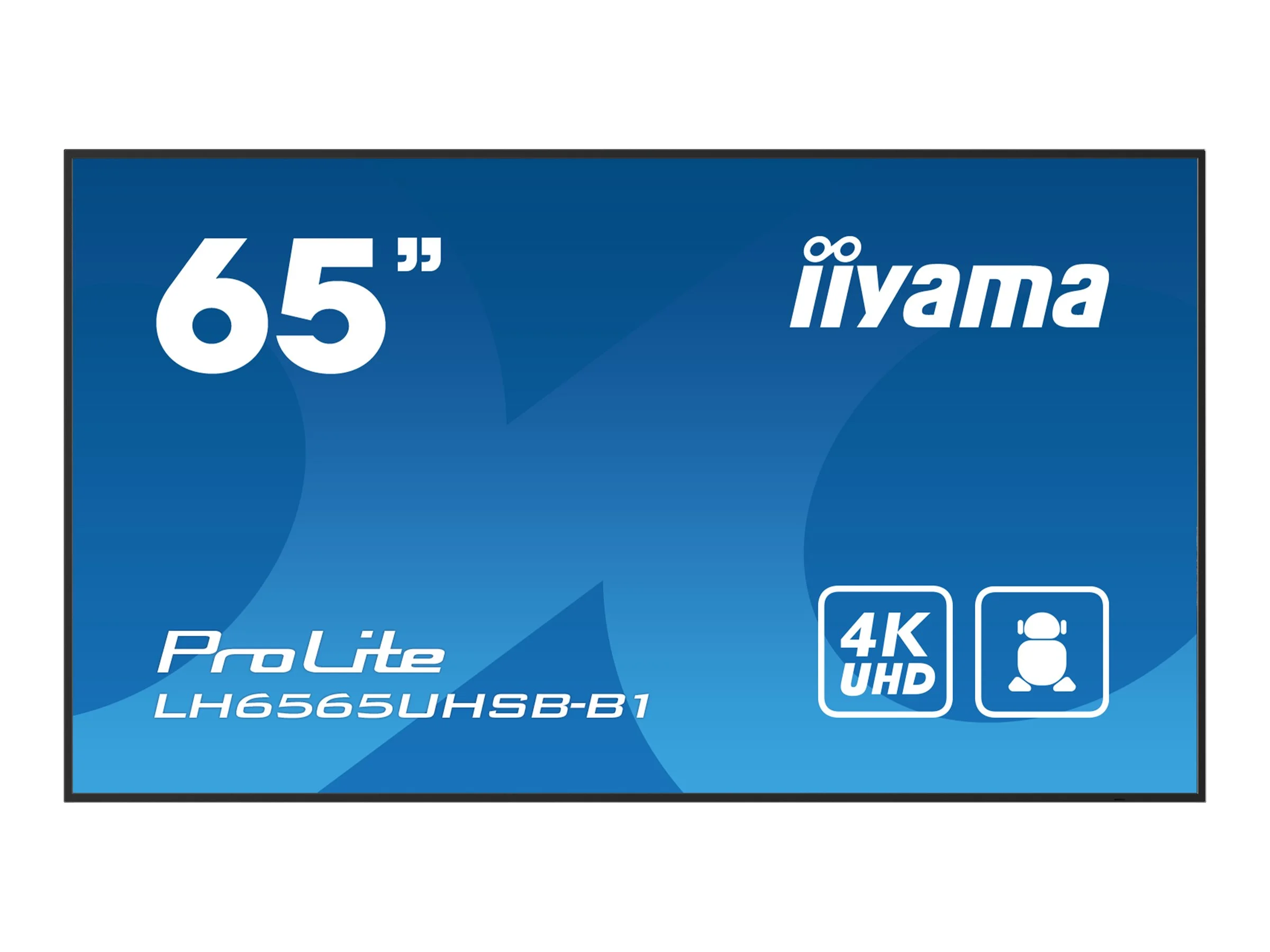 IIYAMA LH6565UHSB-B1 165,1cm 65Zoll