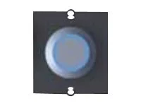 BACHMANN Rahmen 1xTaster Edelstahl