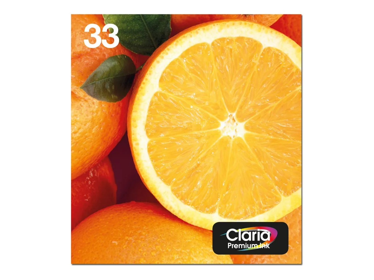 EPSON 4LB Multipack 5-colours 33