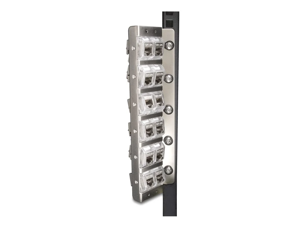 DELOCK Keystone Halterung 12Port neigbar