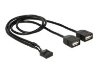 DELOCK USB Kabel Pin Header Buchse > 2 x