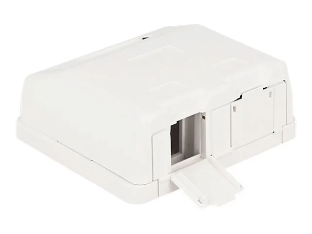 DELOCK Keystone Leergehäuse 2 Port