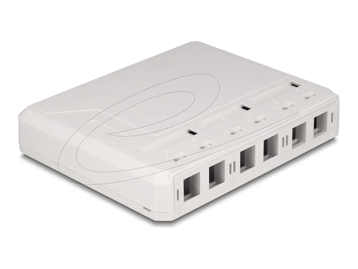 DELOCK Keystone Leergehäuse 6 Port fur