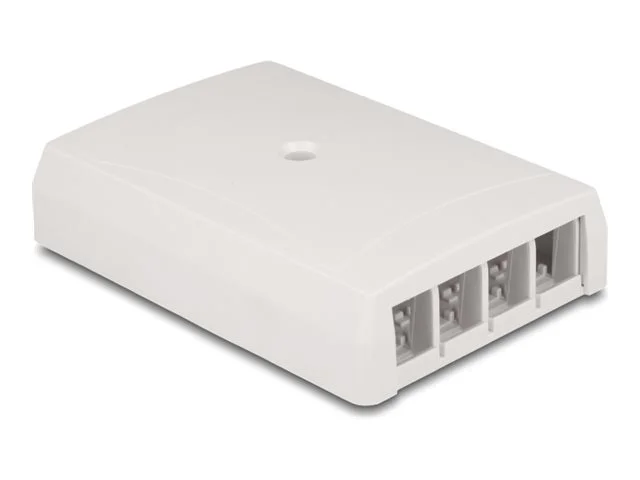 DELOCK Keystone Leergehäuse Aufputz 4 P