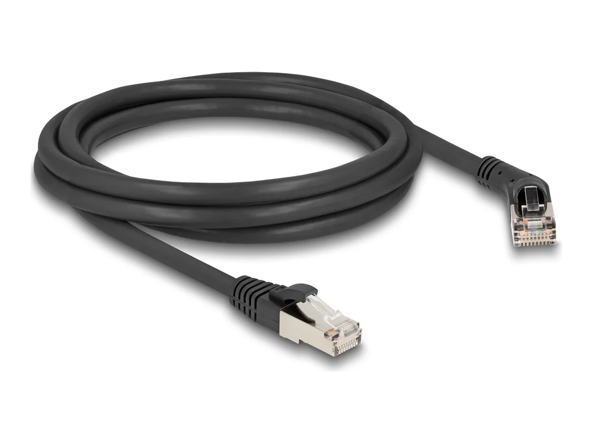 DELOCK RJ45 Netzwerkkabel Cat.6A 2m