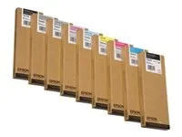 EPSON 5LB T6061 ink cartridge photo