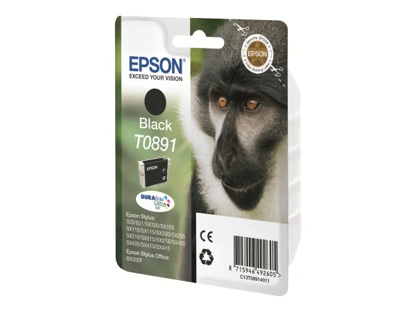 EPSON 6LB T0891 ink cartridge black