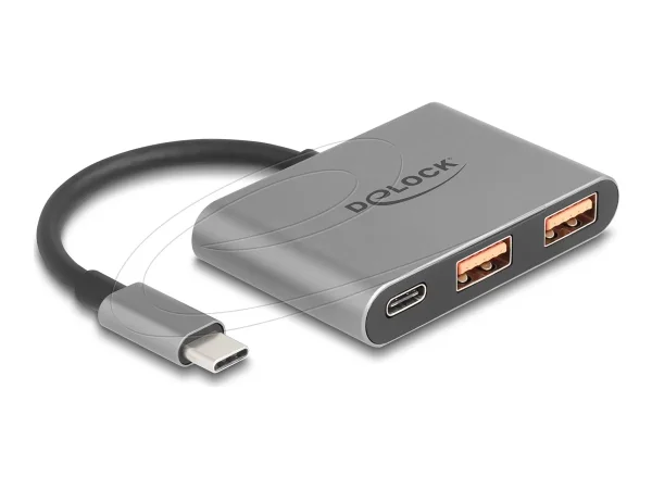 DELOCK 3 Port USB Hub 10 Gbps mit USB Ty
