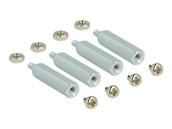 DELOCK Befestigungsset für Raspberry Pi