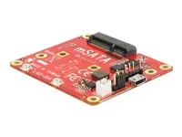 DELOCK Konv Raspberry Pi USB 2.0 > mSATA