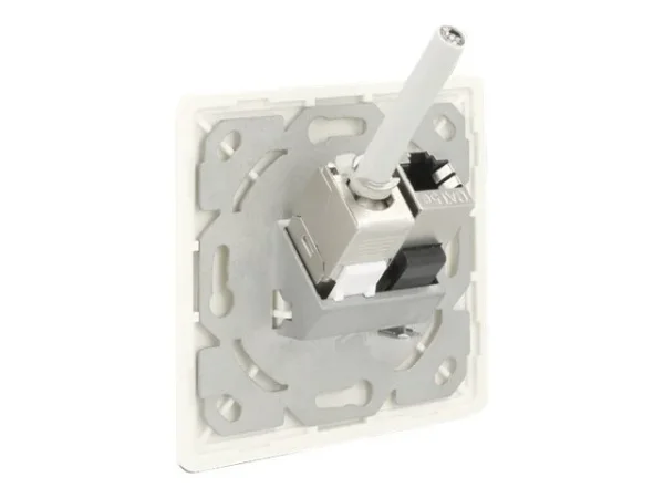 DELOCK Keystone Anschlussdose 2 Port kom