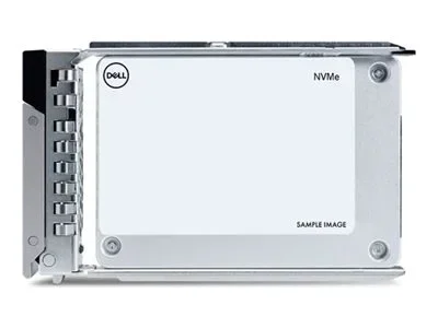 DELL 960GB Data Center NVMe Read Int