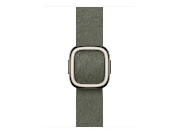 APPLE WATCH 42 SAGE GRAY MB M