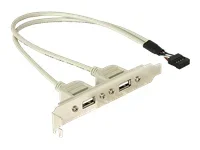 DELOCK Slotblech intUSB 5pin zu2xUSB2ext