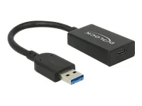 DELOCK Konverter USB 3.1 Gen 2 Typ-A