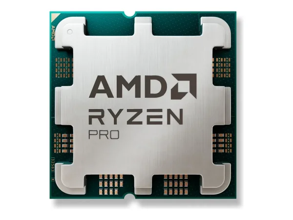 AMD Ryzen 3 PRO 8300G AM5 65W 4C/12T TR
