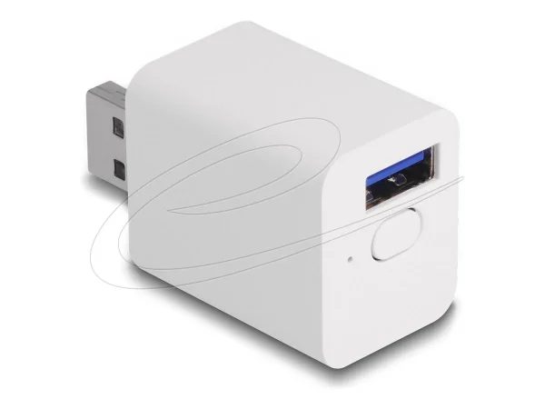 DELOCK WLAN EASY-USB Schalter Smart Life
