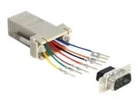 DELOCK Adapter Sub-D 9Pin St > RJ45 Bu.