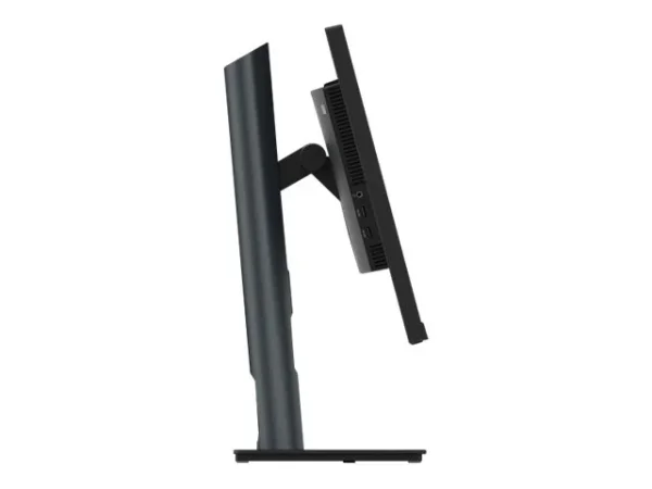 LENOVO ThinkVision P24q-30 60,45cm TS