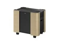 EPSON Mobile A/V Cabinet ELPCS01 Schrank